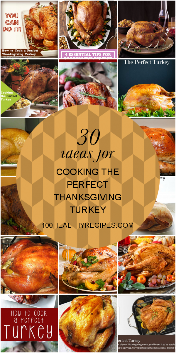 30 Ideas For Cooking The Perfect Thanksgiving Turkey Best Diet And